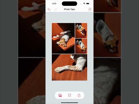 Photo Tape gallery image