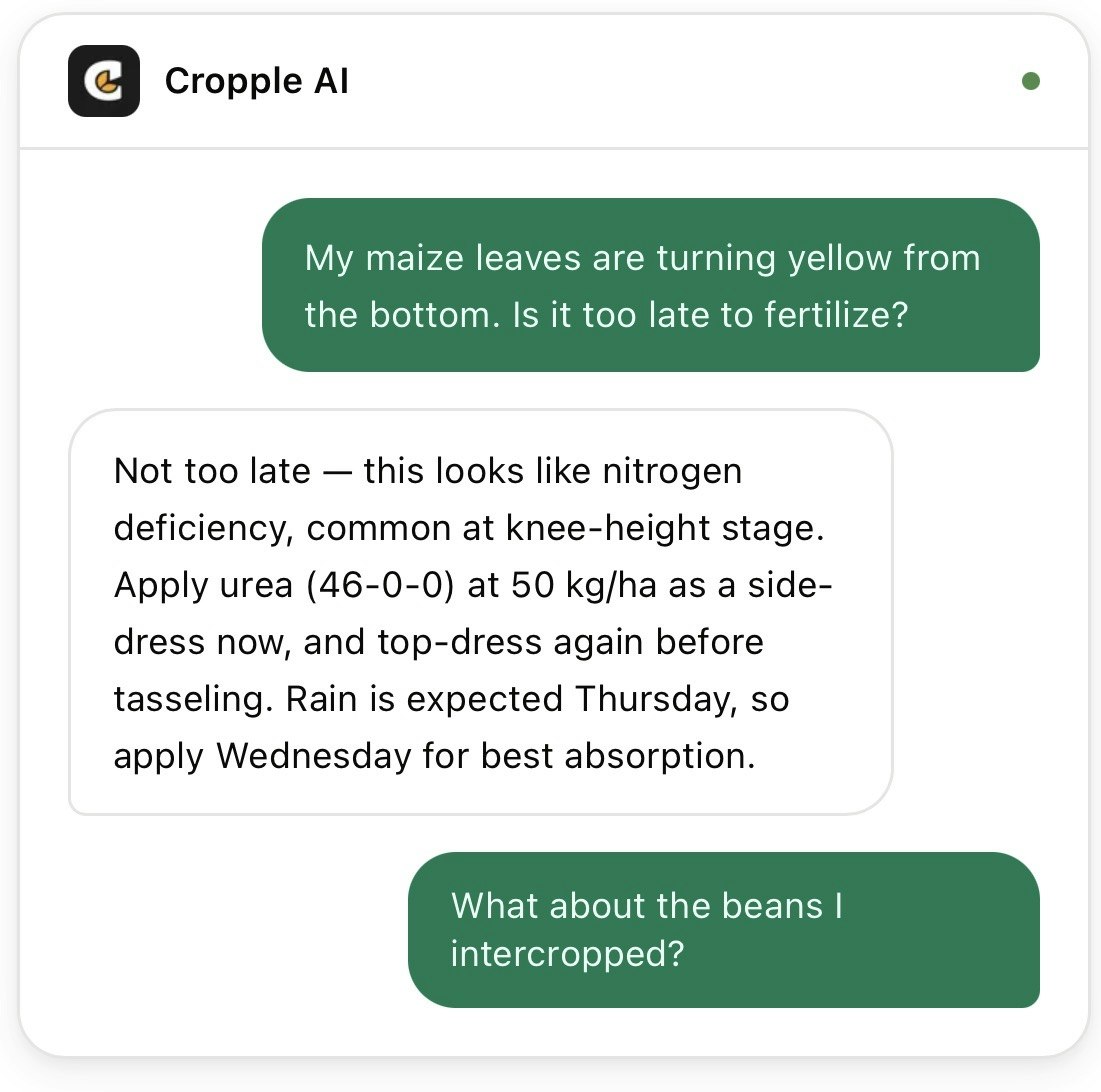 Cropple.AI gallery image