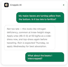 Cropple.AI gallery image