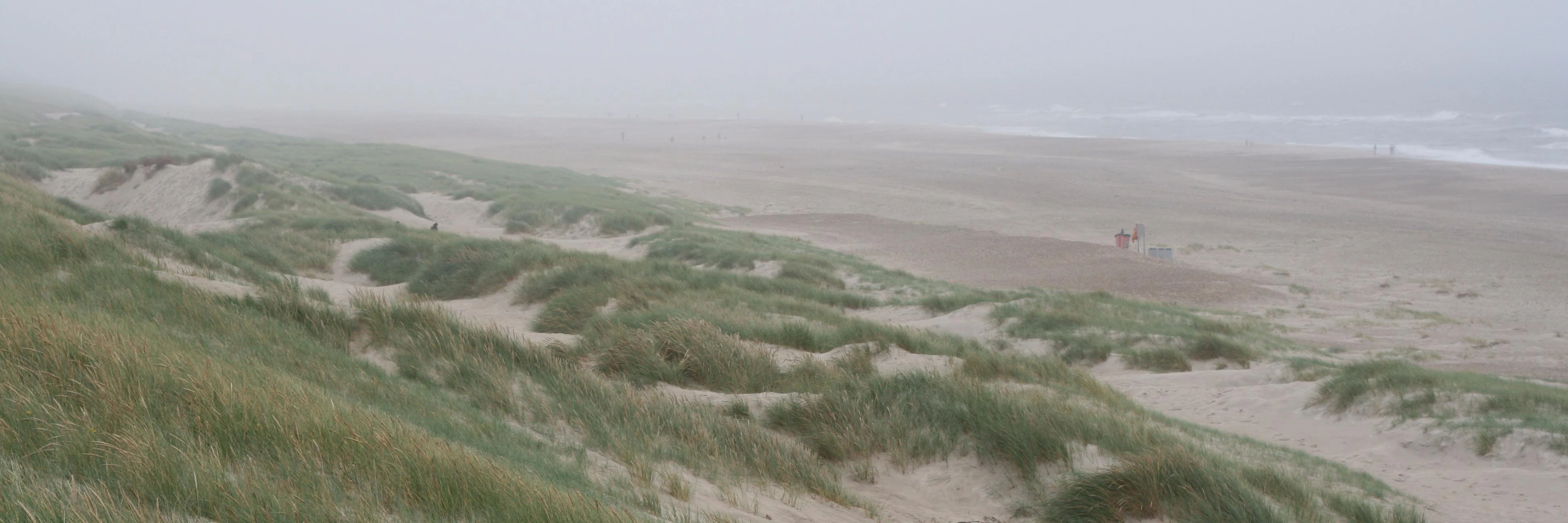 Markus Svensson cover