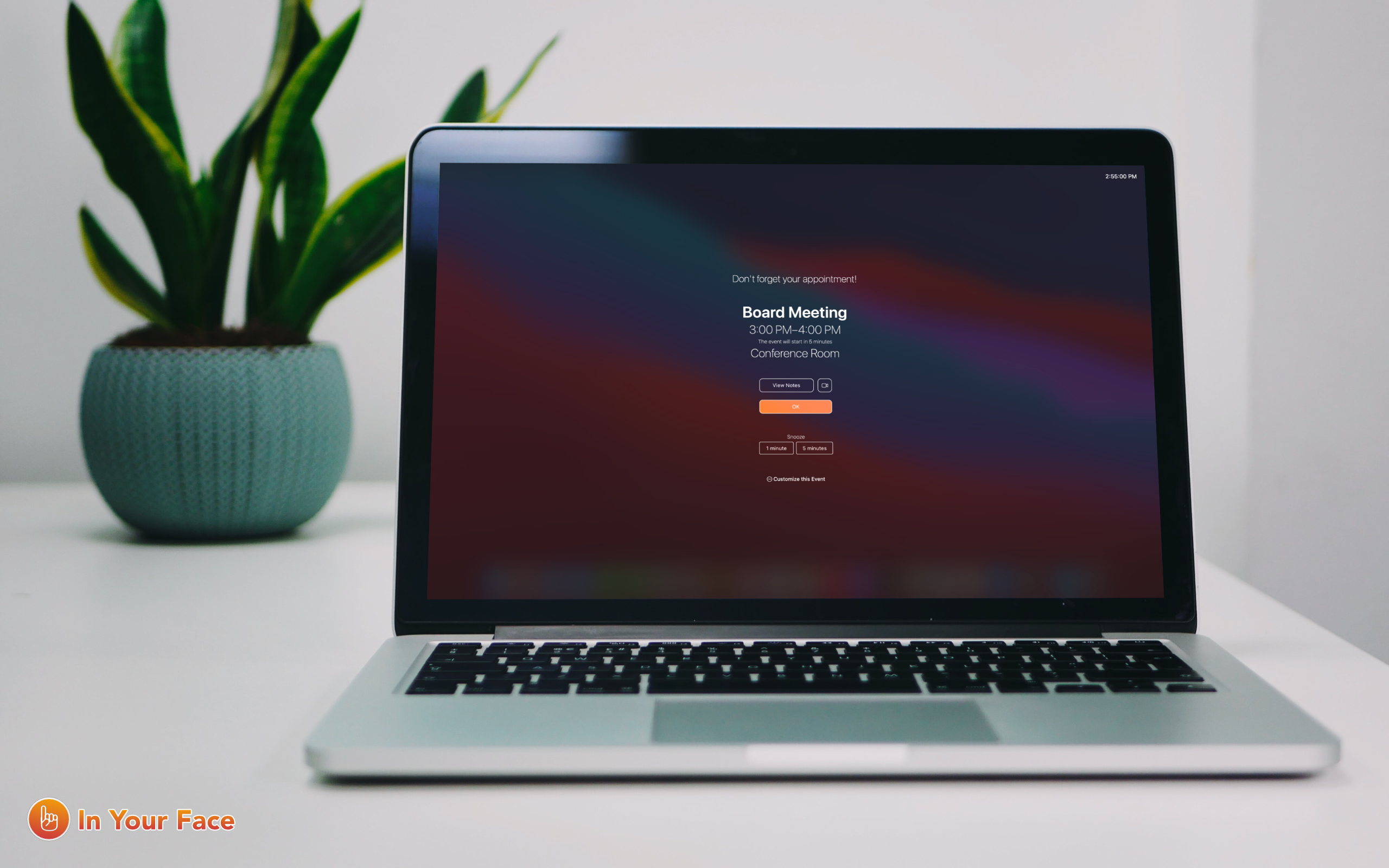 In Your Face gallery image