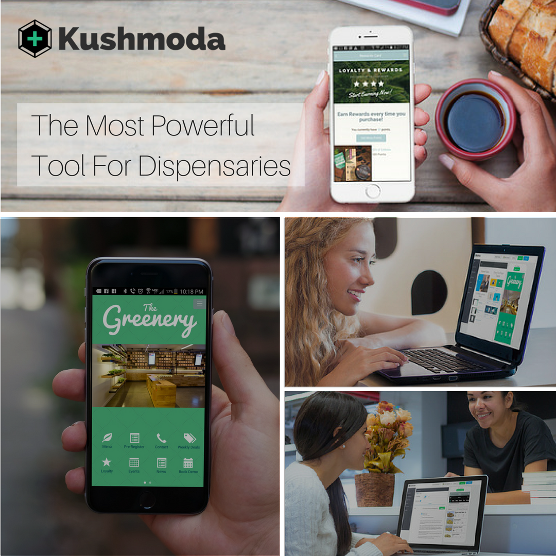 Kushmoda gallery image