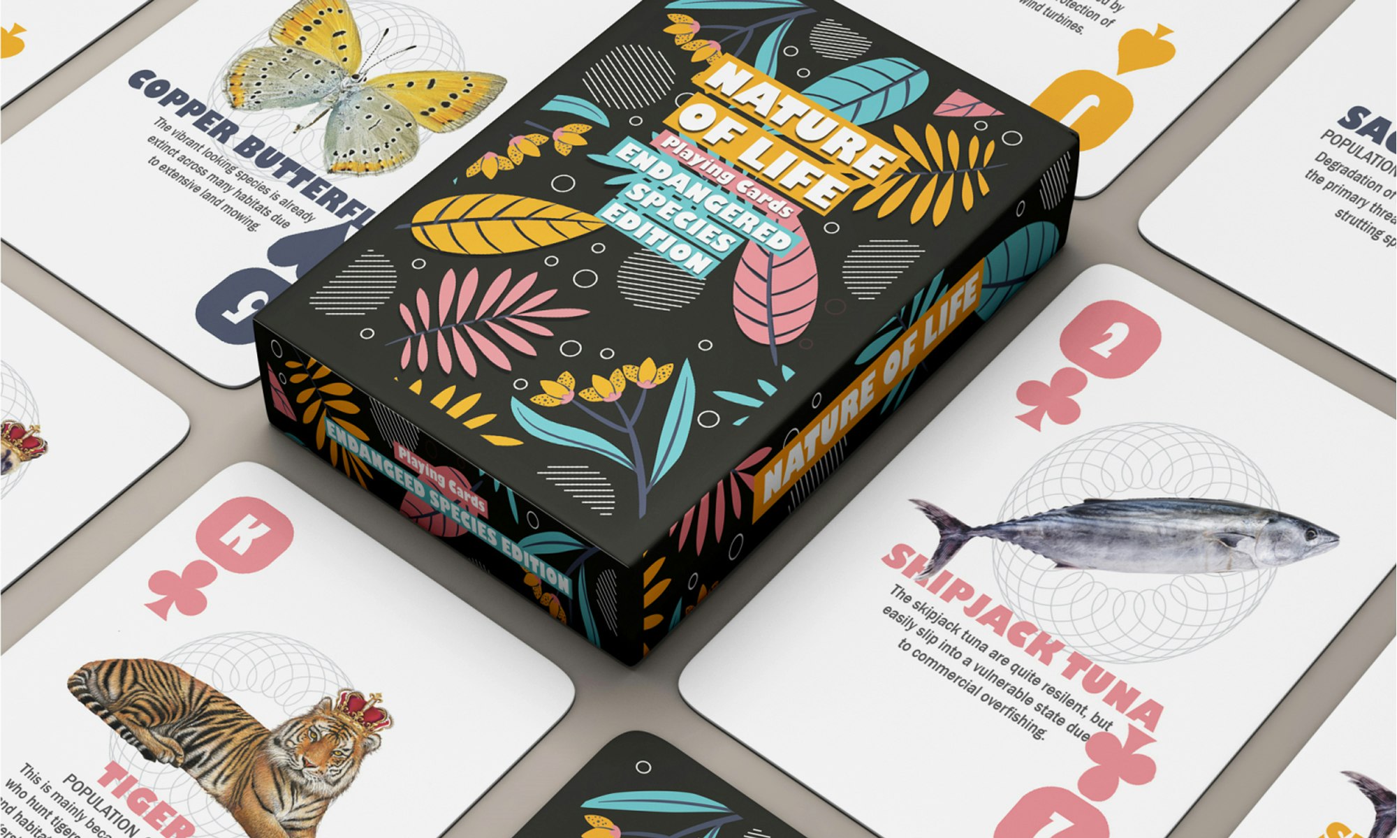 Nature of Life Deck gallery image