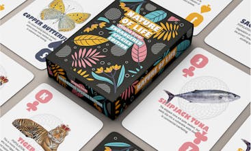 Nature of Life Deck gallery image