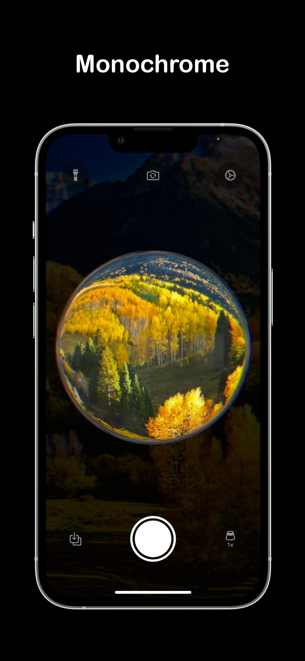 fisheyer lens gallery image