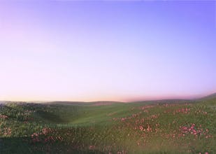 label up gallery image