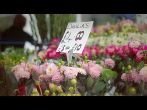 Rare Pink gallery image