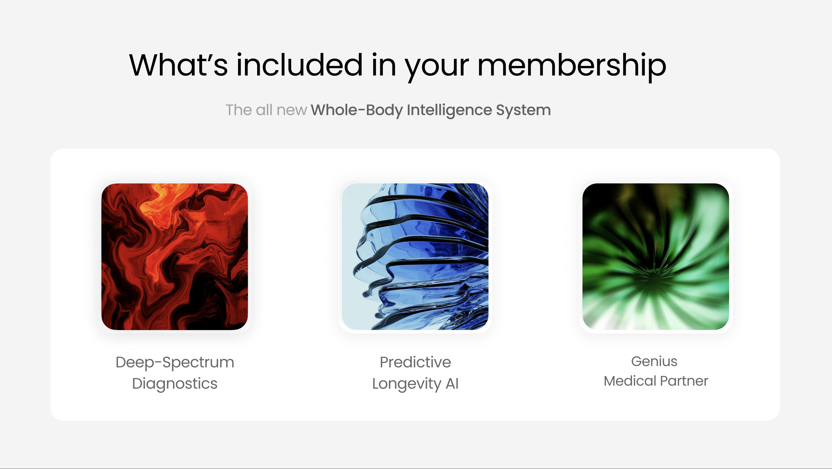 Nostavia gallery image