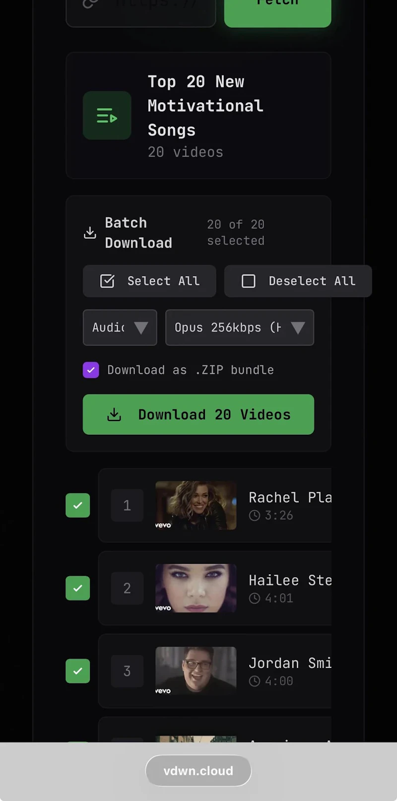 vdwn.cloud screenshot 8