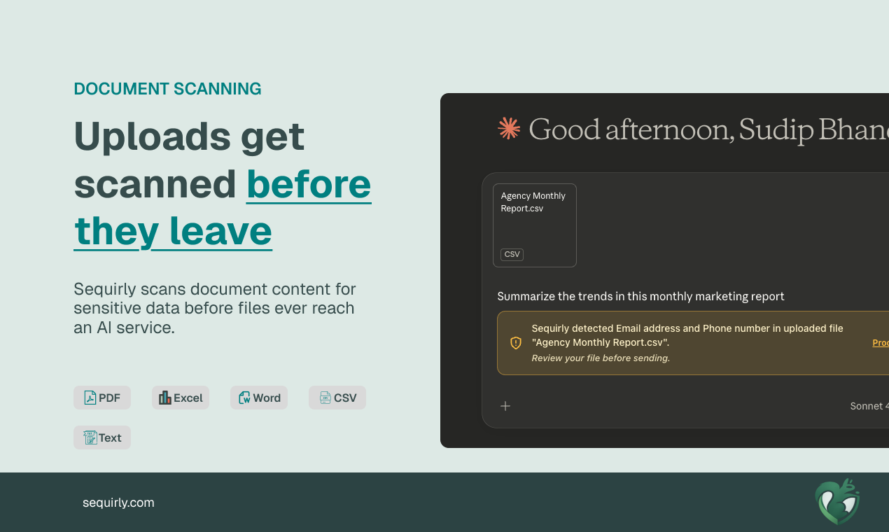 Sequirly 畫廊圖片