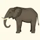 Animal Size Comparison Tool