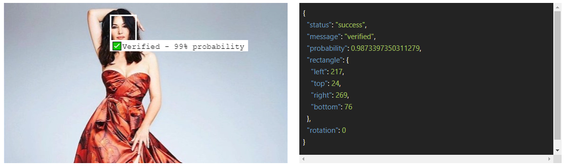 Luxand.cloud - Face verification API media 1