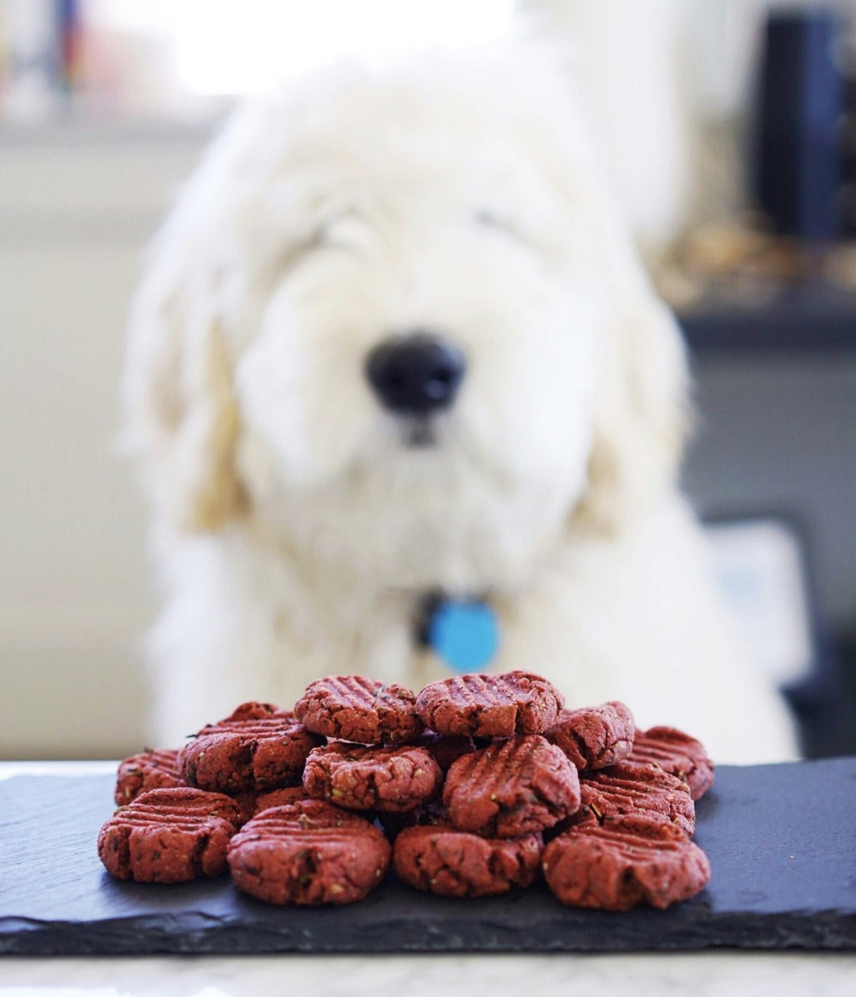 Wagadō gallery image