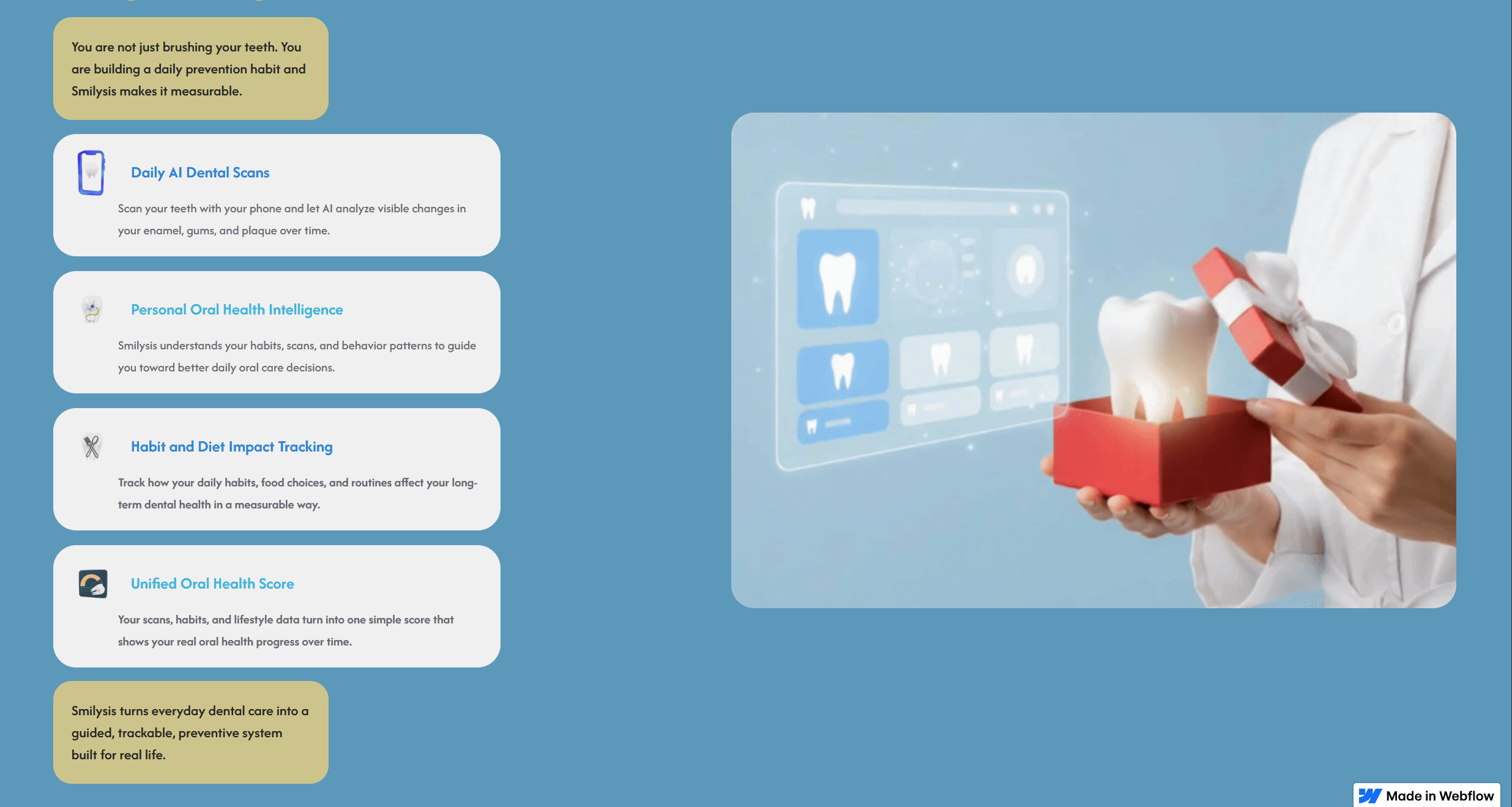 Smilysis - Screenshot 2 showing product features and functionality