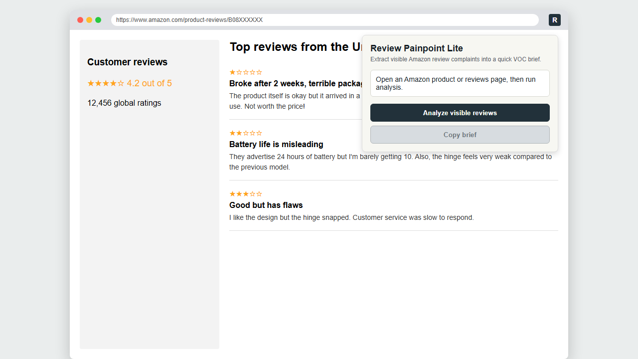 Amazon Review Pain-point Extractor gallery image