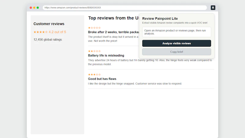 Amazon Review Pain-point Extractor screenshot 1