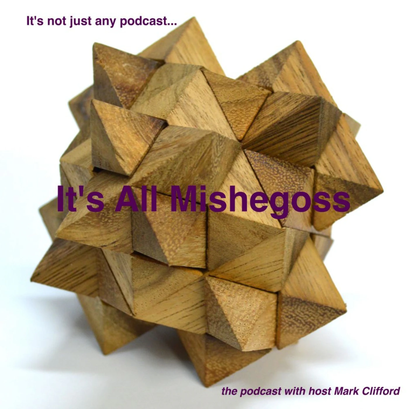 It's All Mishegoss #33: I decide to run for President!