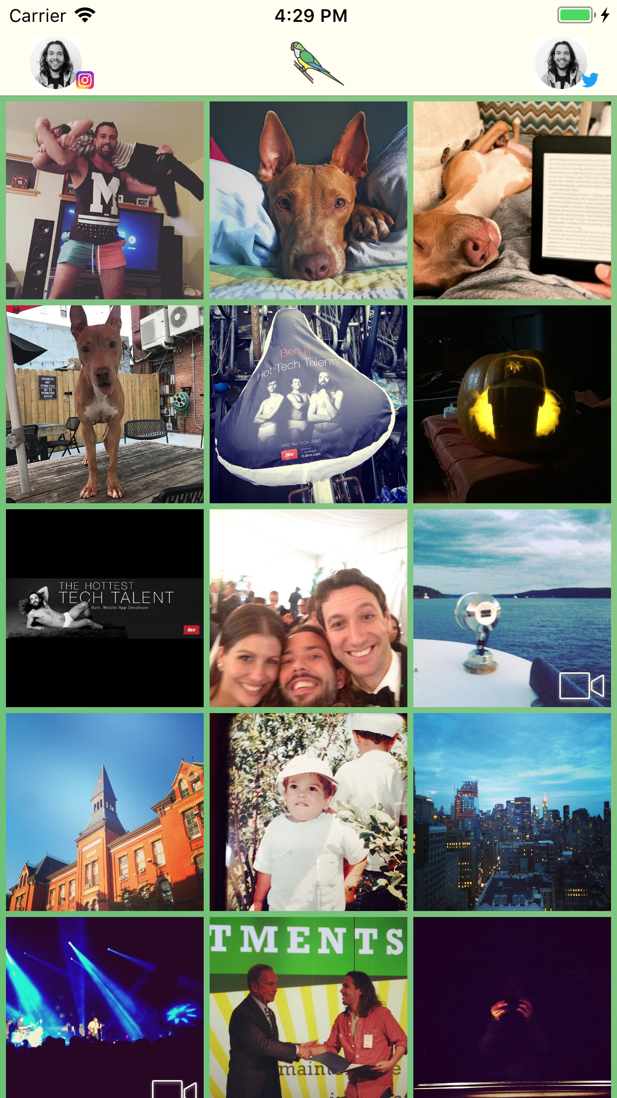 Periquito gallery image