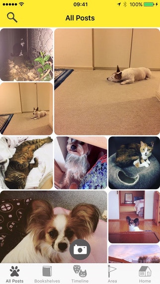 Dokonoko gallery image