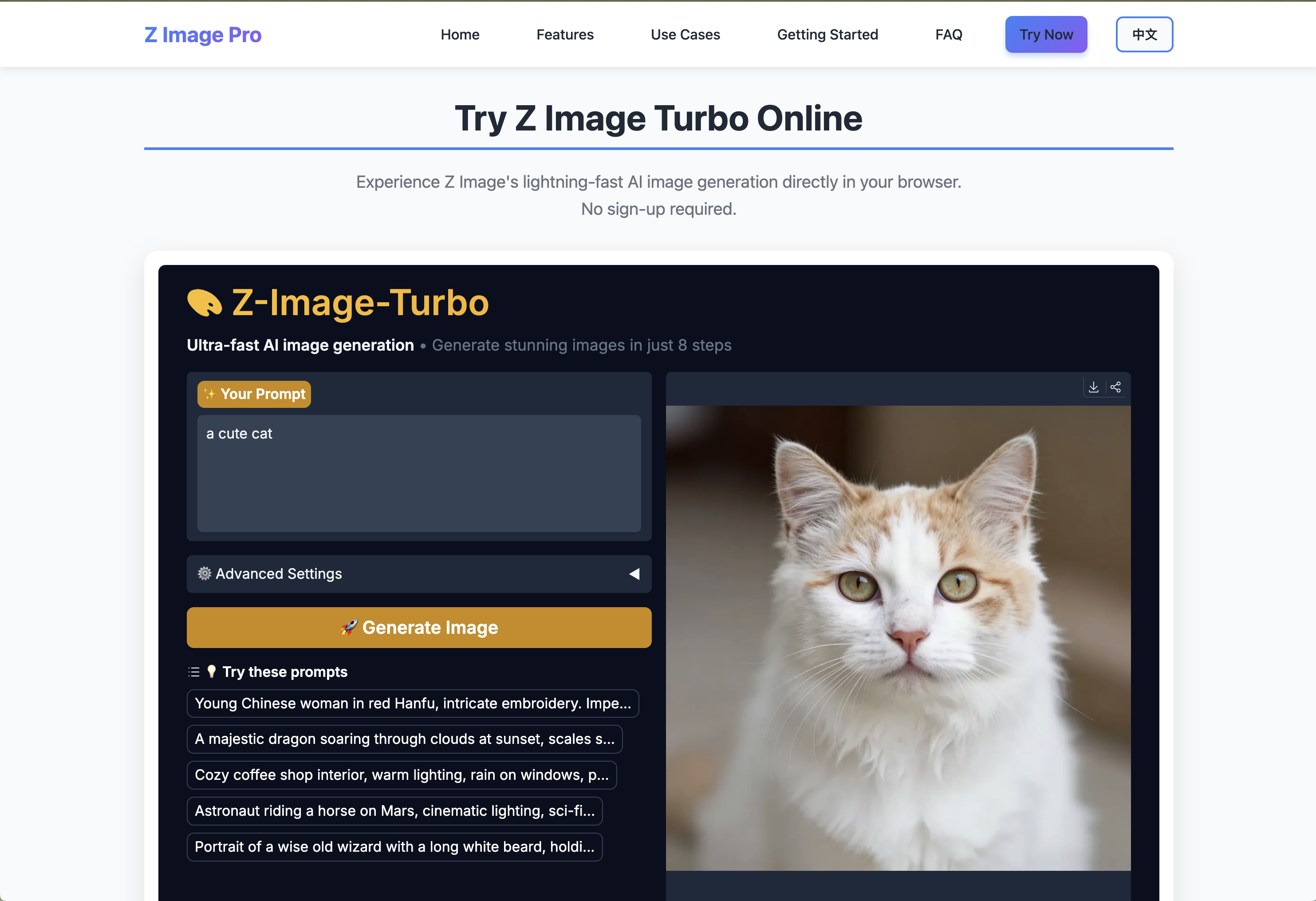 Z Image gallery image