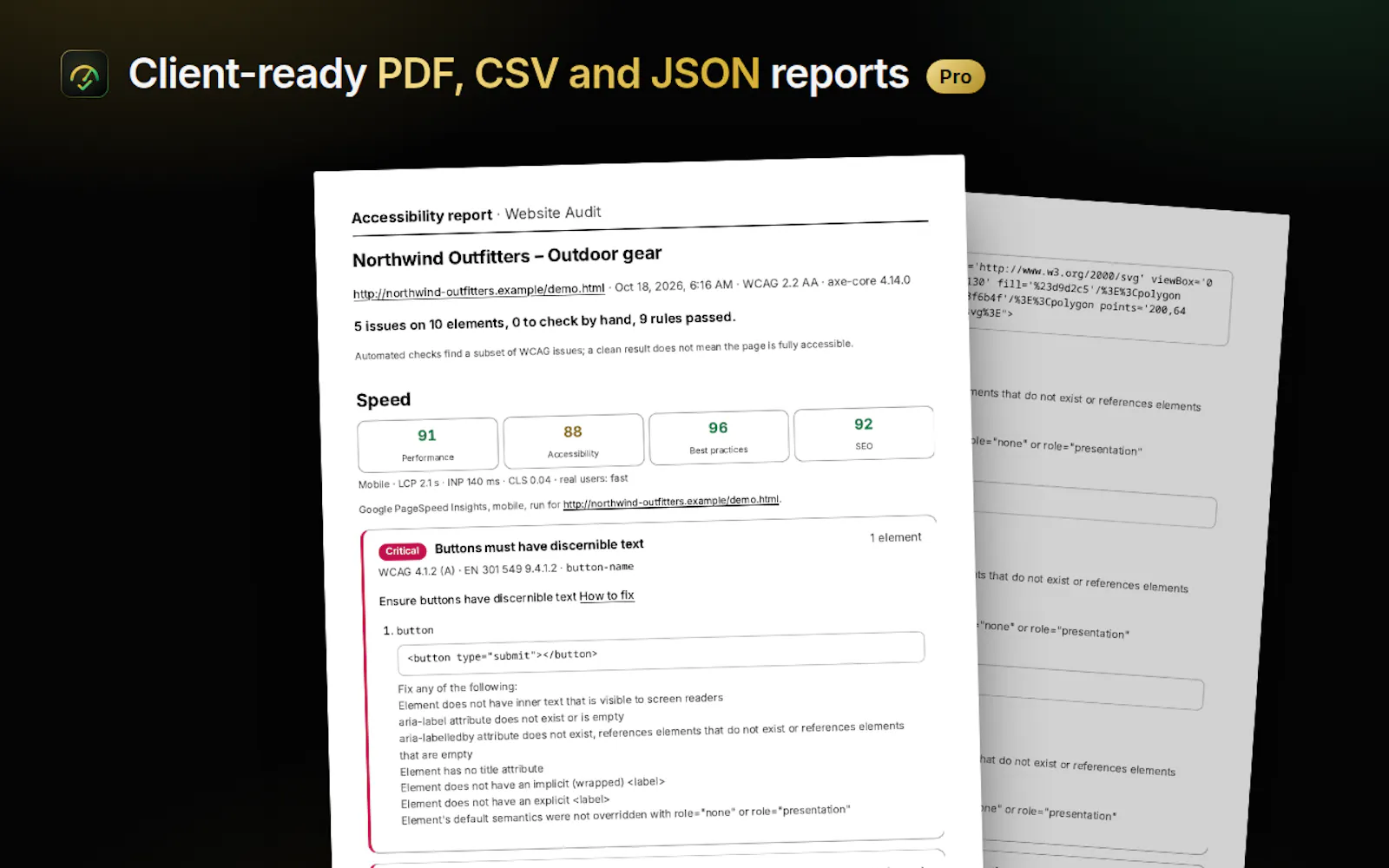 Website Audit screenshot 5