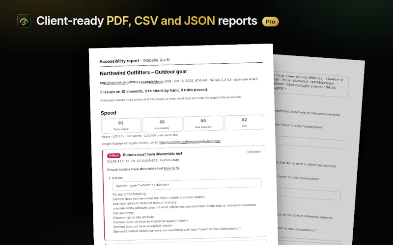 Website Audit screenshot 5