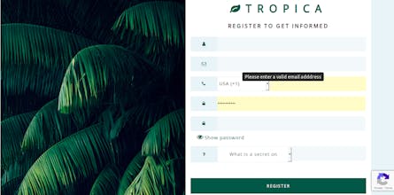 Plug -n- Play Signups & Login for devs gallery image
