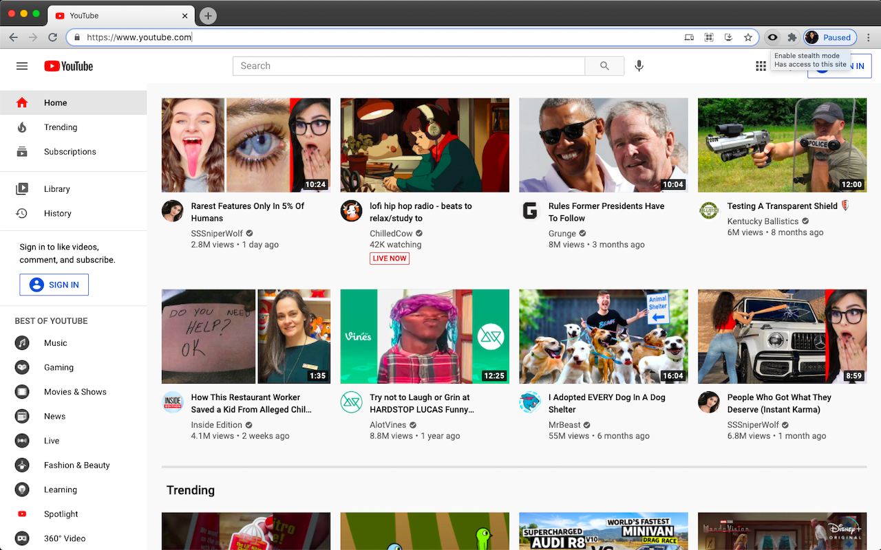 Browser Stealth Mode gallery image