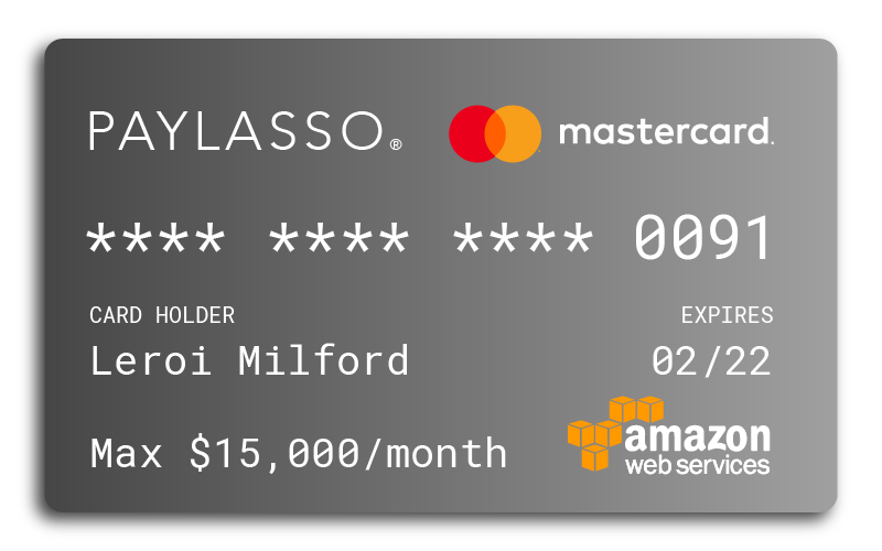 Paylasso gallery image