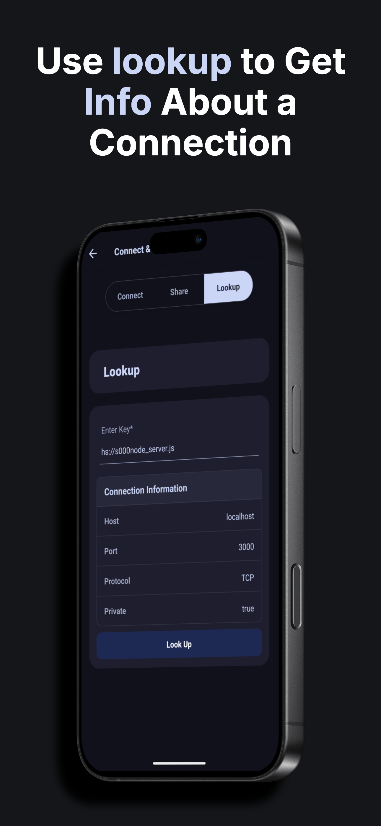 Holesail.io gallery image