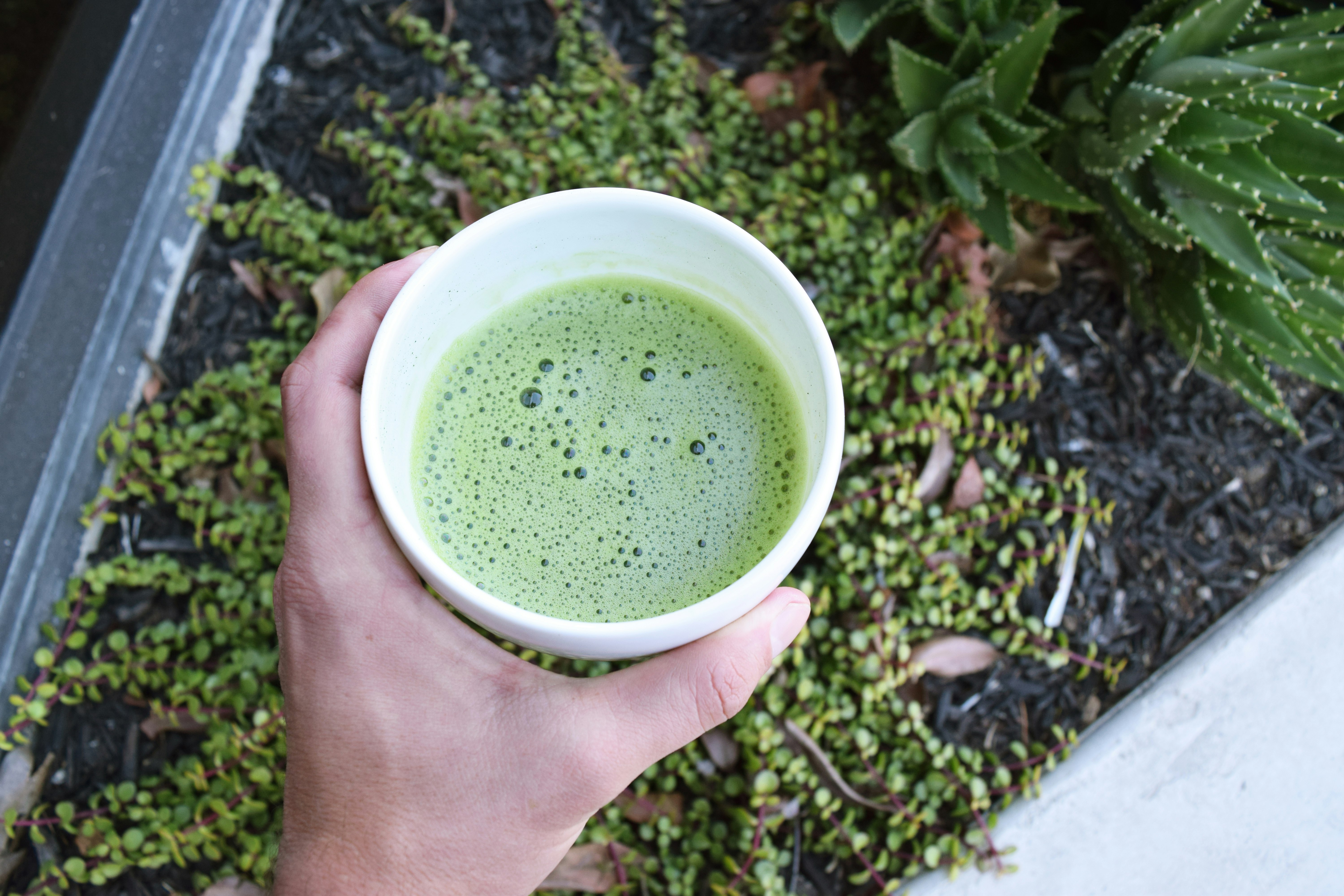 Matcha Blueberry gallery image