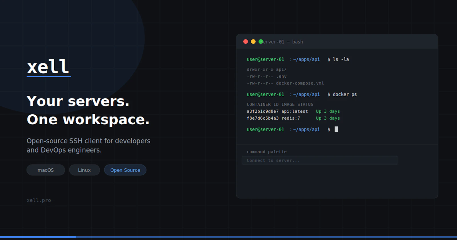 Xell screenshot 1