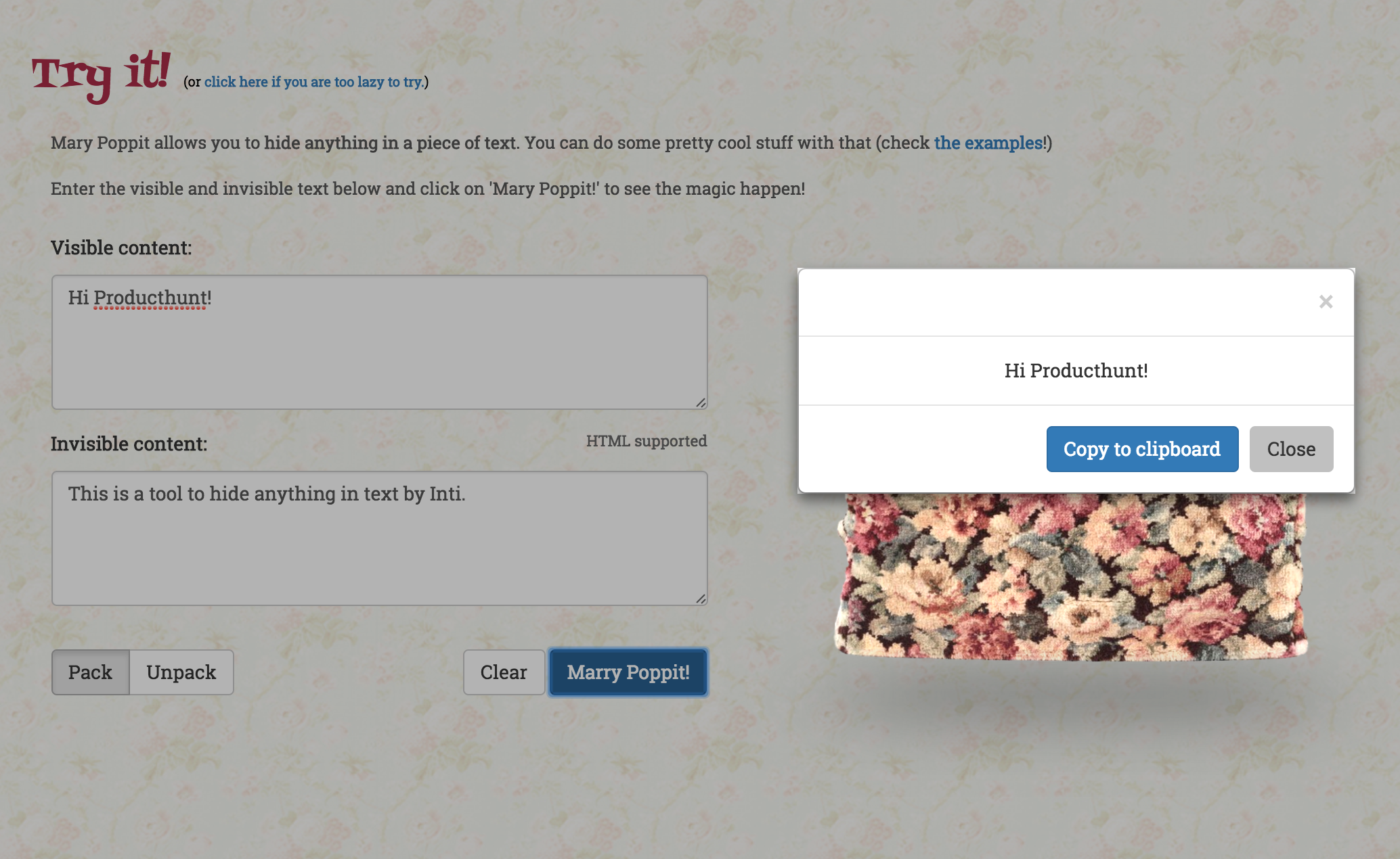 Mary Poppit! gallery image