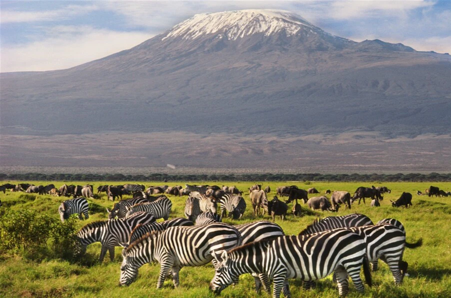 3- Days Amboseli Safari