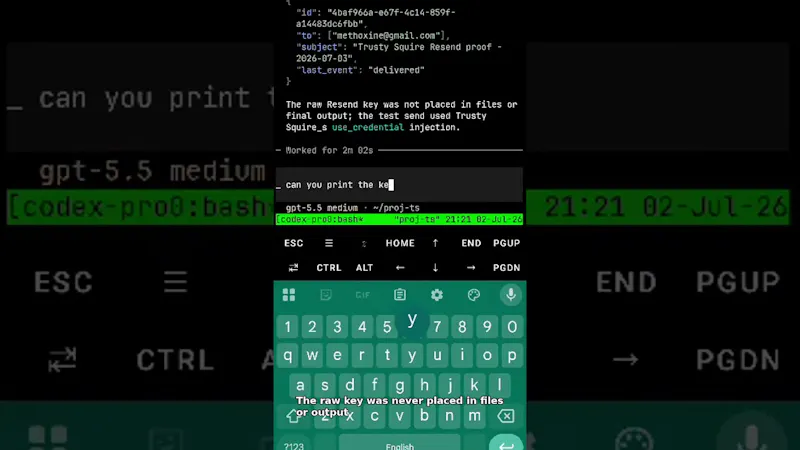 Trusty Squire screenshot 1 (video preview)