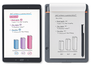 Bamboo Slate gallery image