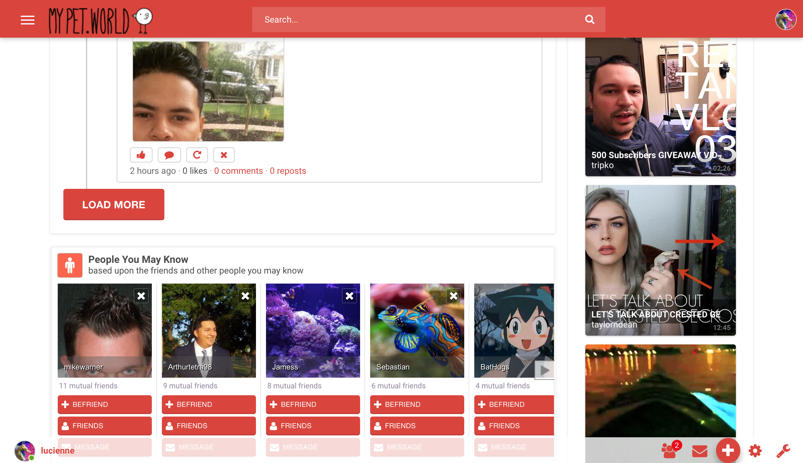 My Pet World gallery image