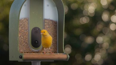 BirdieCamera gallery image