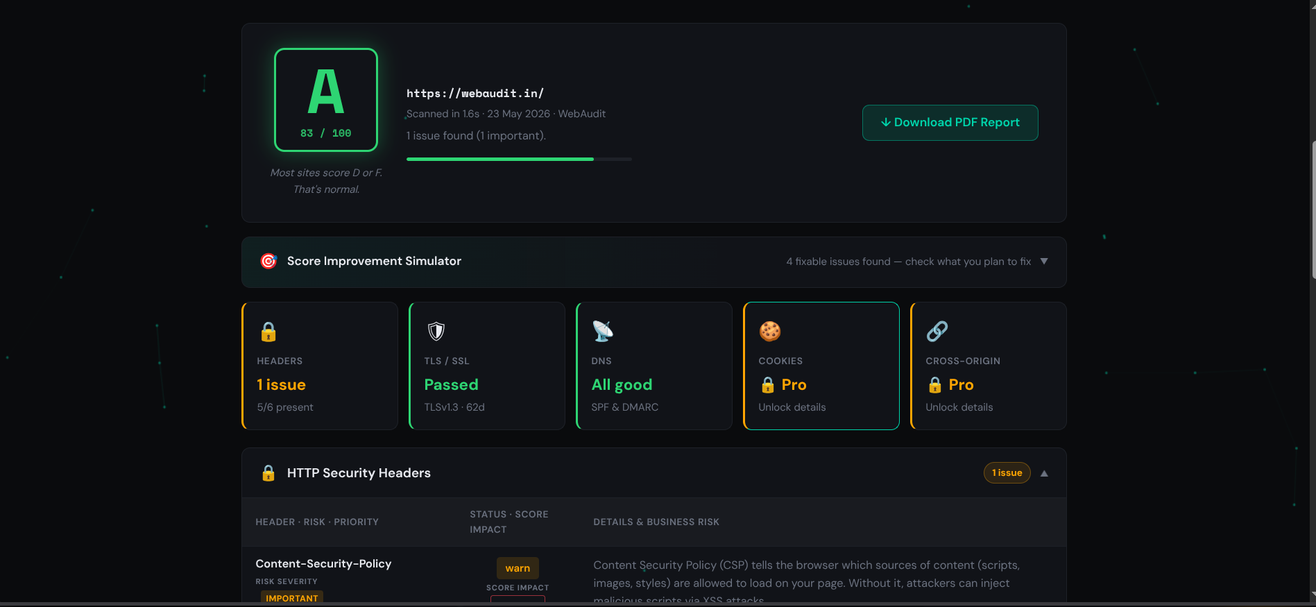 WebAudit gallery image