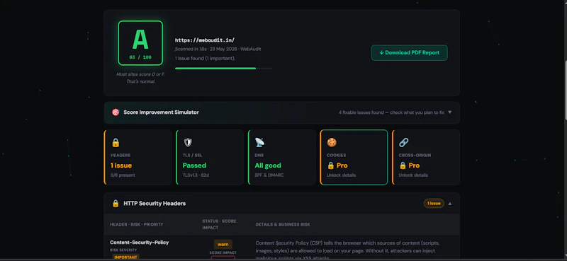 WebAudit screenshot 1