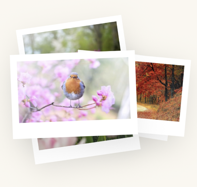 Saradays - Product Hunt launch logo