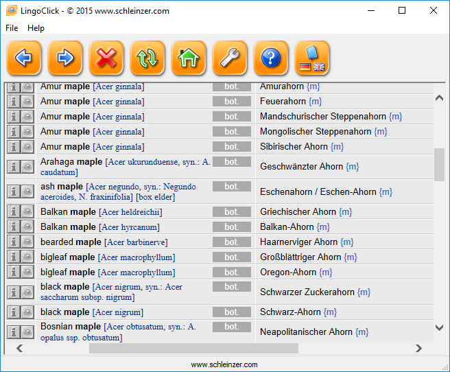 LingoClick gallery image