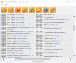 LingoClick gallery image