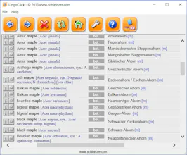 LingoClick gallery image