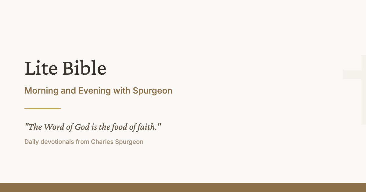 Lite Bible - Screenshot 2 showing product features and functionality