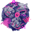 Bubblegum.dev