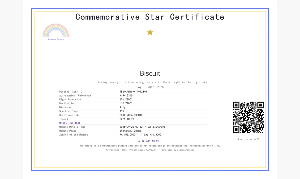 A Star Named gallery image