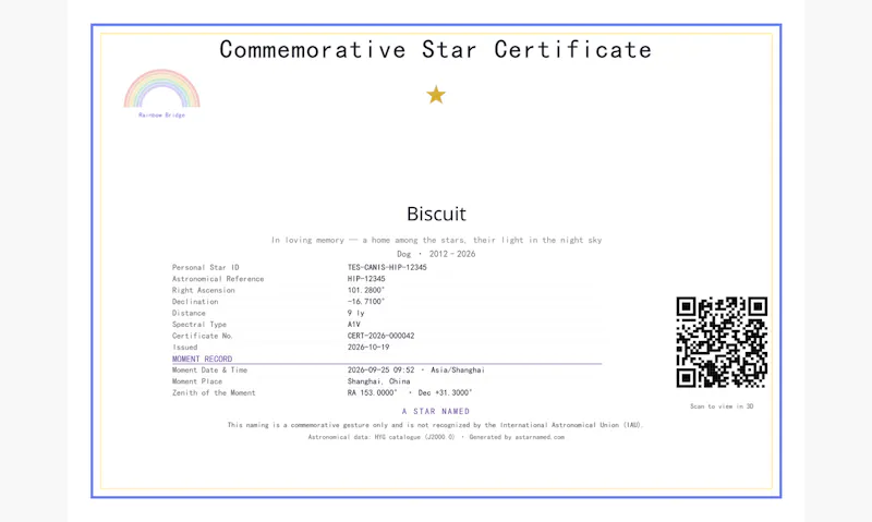 A Star Named screenshot 6