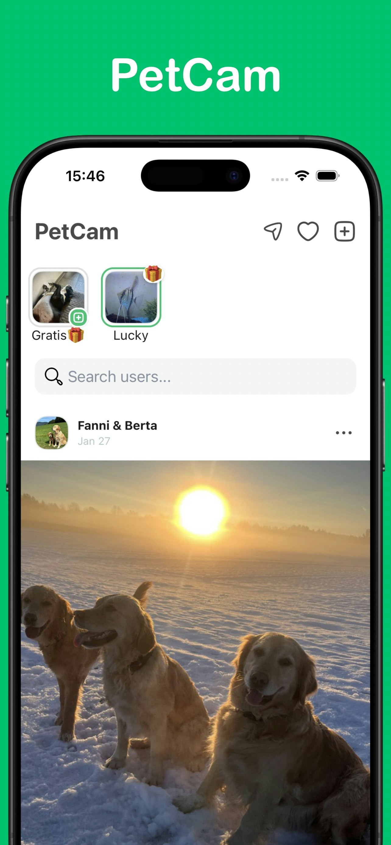 PetCam gallery image