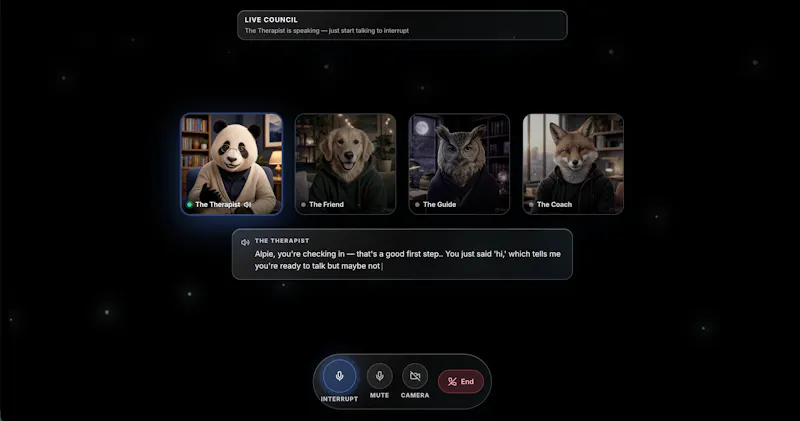 Council screenshot 6
